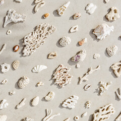 Seashells and corals as minimal pattern. Stylish layout of found shell and coral on ocean shore. Summer relahation concept, beach vibes. Top view nature background, neutral white beige tones gradient