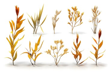 Yellow tuft with white background  
