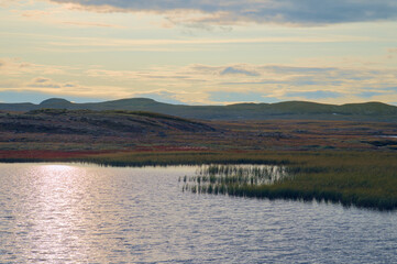 A serene photo taken in Norway, showing a peaceful lake bordered by reeds and low hills.
