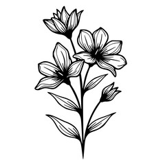 Elegant Black & White Floral Line Art: Lilies for Design