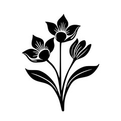 Black and White Floral Illustration: Simple, Elegant Bloom on White