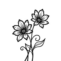 Minimalist Black and White Floral Line Art Illustration