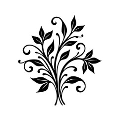 Black & White Floral Ornament, Elegant Leafy Design, Isolated on White