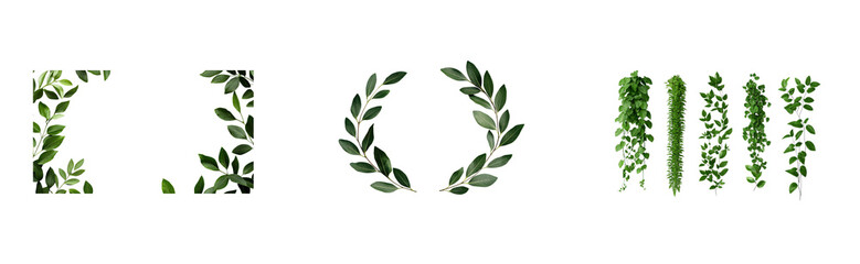 Green leaves set, botanical, plant elements for design, cut out transparent