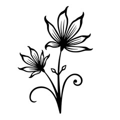 Black & White Floral Line Art Illustration for Design Elements