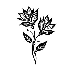 Elegant Black and White Floral Illustration