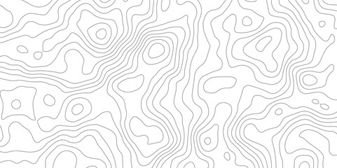 Abstract topographic contours map background, Topography map background. Vector geographic contour map