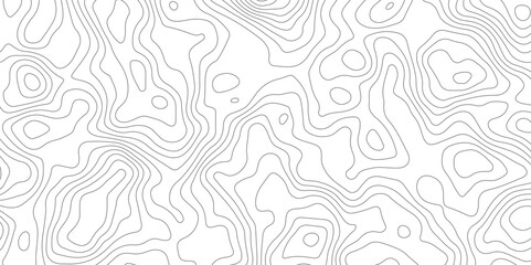Abstract topographic contours map background, Topography map background. Vector geographic contour map