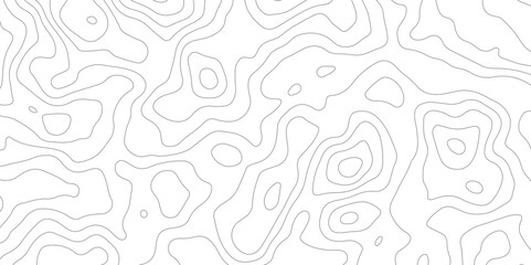 Abstract topographic contours map background, Topography map background. Vector geographic contour map