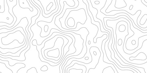 Fototapeta premium Abstract topographic contours map background, Topography map background. Vector geographic contour map