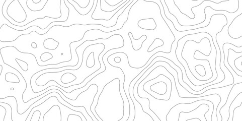 Abstract topographic contours map background, Topography map background. Vector geographic contour map