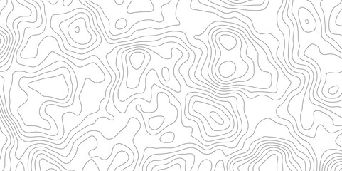 Abstract topographic contours map background, Topography map background. Vector geographic contour map