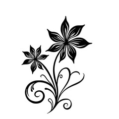 Elegant Black Floral Illustration, Botanical Drawing on White