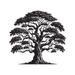Fototapeta premium Kentucky Coffee Tree Vector - Kentucky Coffee Tree Silhouette - Kentucky Coffee Tree Art - Kentucky Coffee Tree black and white design.