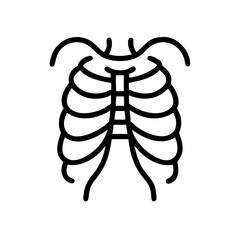 ribs