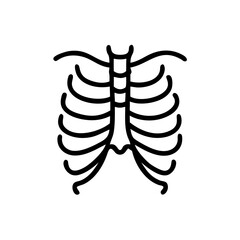 ribs