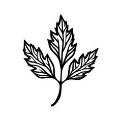 Black and White Leaf Illustration: Botanical Line Art, Vector Design