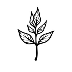 Minimalist Black & White Leaf Illustration on White Background