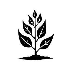 Minimalist Black and White Plant Illustration for Ecology & Nature