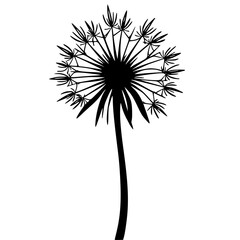 Obraz premium Minimalist Dandelion Silhouette on White: Graphic Design Element