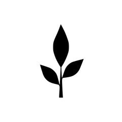 Minimalist Black Leaf Icon on White Background, Nature Concept