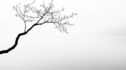 Fototapeta premium Monochrome image depicts a solitary tree standing amidst foggy lake on a dreary day