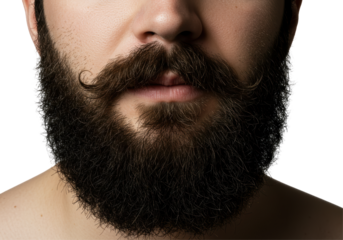 Isolated Neatly Trimmed Dark Brown Beard and Moustache