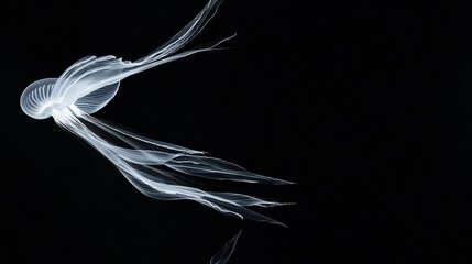   Bird in flight, black and white photo