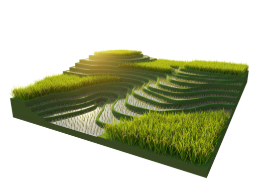 Isolated Rice Terraces Landscape Agriculture Greenery - Powered by Adobe