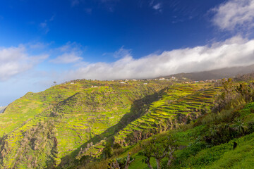 Egzotyczny krajobraz morski z wybrzeżem nad Oceanem Atlantyckim na portugalskiej wyspie Madera (Miradouro dos Prazeres), podróż po Europie, tło lub tapeta do projektu © anettastar