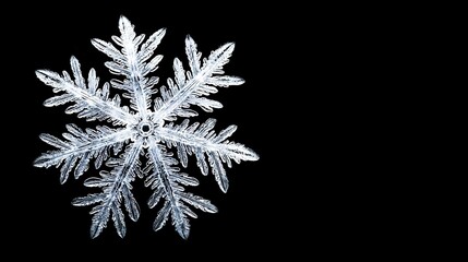  A Snowflake Close-Up - A white snowflake with intricate details against a dark background, surrounded by other falling snowflakes