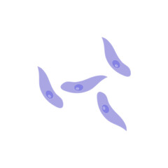 Toxoplasma gondii  bacteria. Vector illustration 