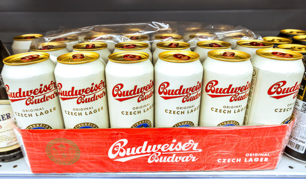 Budweiser Budvar alcoholic beer in metal cans on the shelf in a superstore. Czech lager beer