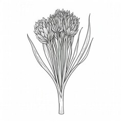 Elegant botanical sketch of a flowering plant showcasing intricate details of nature's beauty