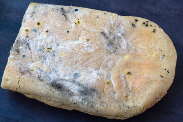 A variety of mold fungi on a loaf of bread. Mold growing on a loaf of bread indicates rotting and...