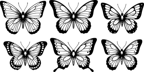 Obraz premium Set of Butterfly Silhouette illustration vector