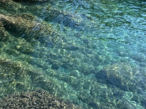 Amazing clear sea with underwater algae. 
