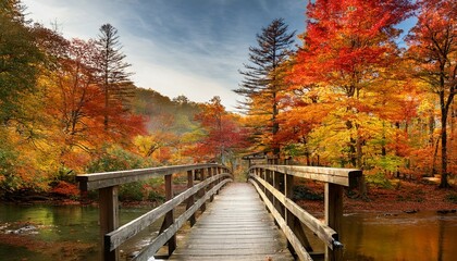 wooden bridge in autumn forest