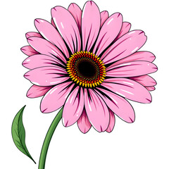 Pink Daisy Bloom