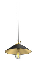 Industrial Black and Gold Cone Pendant Light with Exposed Bulb in 3d render