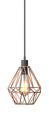 Geometric Copper Wireframe Pendant Light with Industrial Bulb in 3d render