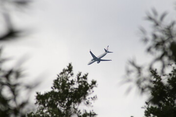 Airplane flying over the trees 