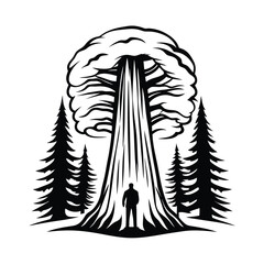 Silhouette Person Standing Under Giant Sequoia Tree, Forest Landscape, Nature, Alone