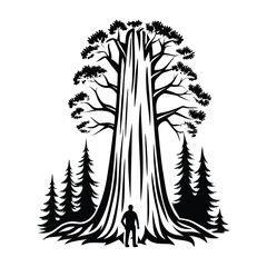 Giant Sequoia Silhouette with Man for Scale & Pine Trees in Black and White Style © Shipon