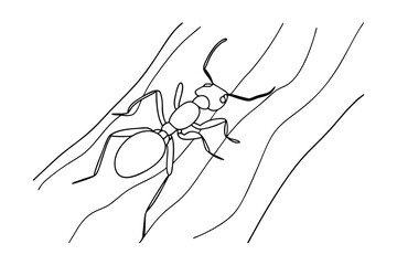 Black And White Line Art Illustration Of An Ant On Wood Texture