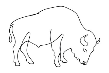 One Line Drawing Of A Bison Minimalist Contour Style Isolated On White