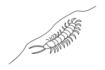 Black And White Illustration Of A Centipede Walking On A Surface Line Art
