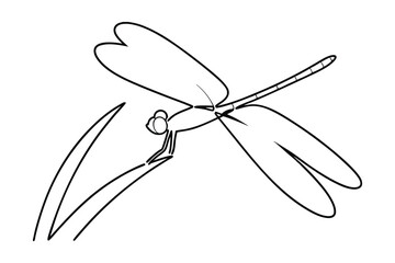 Minimalist Dragonfly Illustration Black Outline Design On White Background For Creative Projects