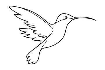 Fototapeta premium Hummingbird Line Art Flying Illustration Simple Minimalist Design Modern Outline Isolated