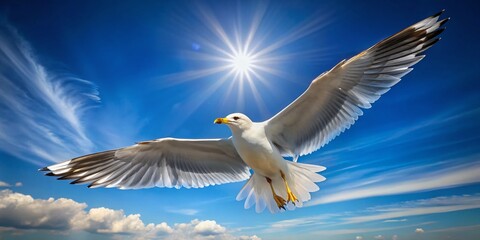 Fototapeta premium Majestic Seagull in Flight: Coastal Freedom and Elegance